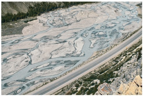 <strong>What type of stream is shown in this photograph? </strong> A)Meandering stream B)Braided stream C)A stream whose main channel has high sinuosity D)An esker