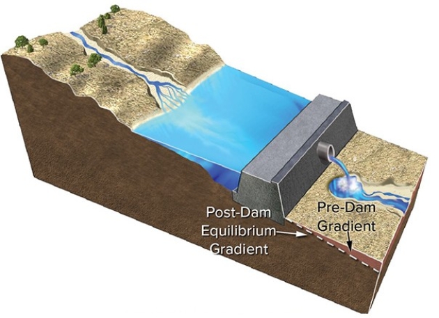 <strong>Construction of a dam results in </strong> A)an increase in the total amount of water flowing downstream of the dam. B)increased erosion by clear water released from the dam. C)the dam releasing water that contains more sediment than carried by the river before the dam was constructed. D)increased erosion where the stream channel meets the reservoir.