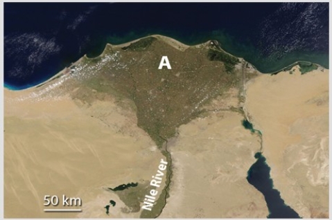 <strong>Feature A,formed where the Nile River encounters the Mediterranean Sea,is </strong> A)a landslide. B)a series of waterfalls. C)a delta. D)All of these are correct.