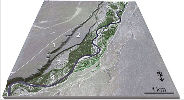 <strong>This figure shows four numbered river terraces,with 1 being the highest and 4 being the lowest.Which is the oldest terrace? </strong> A)1 B)2 C)3 D)4