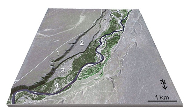<strong>This figure shows four numbered river terraces,with 1 being the highest and 4 being the lowest.Which is the youngest terrace? </strong> A)1 B)2 C)3 D)4