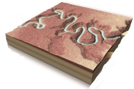 <strong>How did the entrenched meanders shown in this figure form? </strong> A)Rising seas flooded a meandering river valley. B)The land subsided and the river deposited sediment. C)A meandering river carved into the land due to uplift or falling base level. D)None of these are correct.