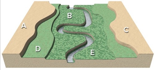 In this landscape,the location that would be best for agricultural fields is probably
