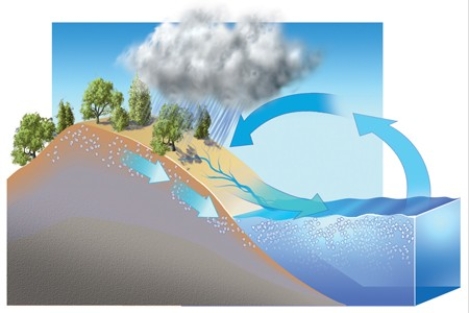 <strong>What concepts can be explained using this diagram? </strong> A)The movement of water between the oceans and the land B)How precipitation ends up in rivers or groundwater C)How weathering causes the seas to become saltier D)All of these are correct.