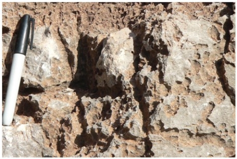 <strong>What is the main type of weathering illustrated by this weathered limestone? </strong> A)Physical weathering B)Dissolution C)Oxidation D)Exfoliation
