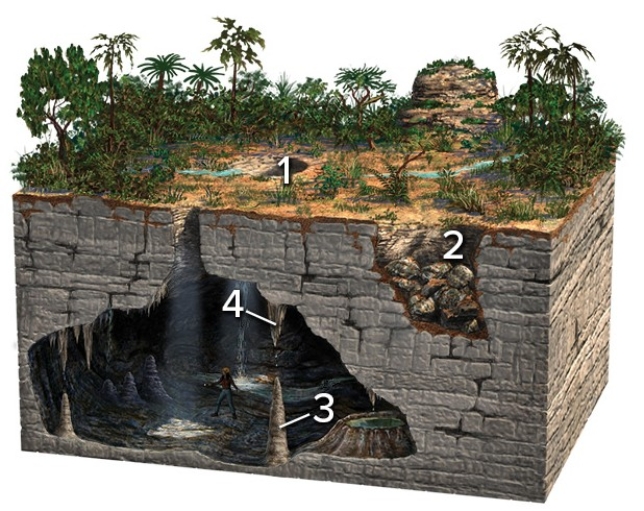 <strong>Which of these four numbered features on the surface or in a cave are formed by the precipitation of calcium carbonate,due to the evaporation of water? </strong> A)1 and 2 B)2 and 3 C)3 and 4 D)1 and 3 E)1 and 4