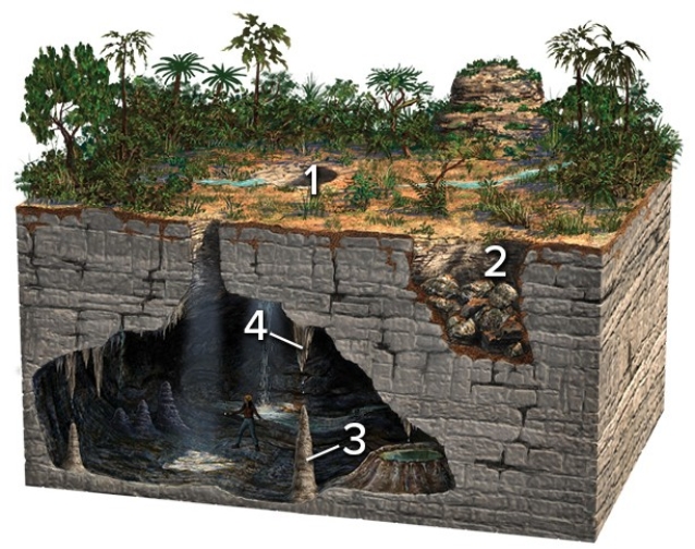 <strong>Which of these four numbered features on the surface or in a cave is a stalagmite? </strong> A)1 B)2 C)3 D)4 E)None of these are correct.