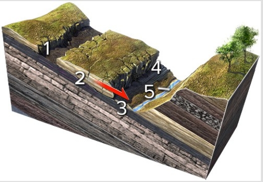 <strong>Which numbered feature on this figure is critical to enable a rock slide to start? </strong> A)1,a linear or curved scar marking where the slide pulled away from the hill B)2,small fractures within the sliding block C)3,layers,fractures,or some other discontinuity inclined downslope D)4,the front of the slide,where it overruns the land surface E)5,a valley or other open space in front of the slide