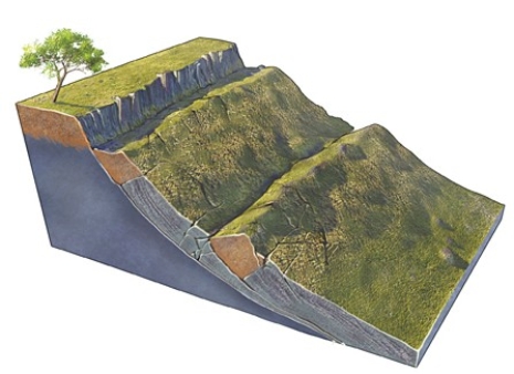 <strong>What type of slope failure is shown in this figure? </strong> A)Rotational slide B)Creep C)Rock avalanche D)Debris flow E)Rock fall