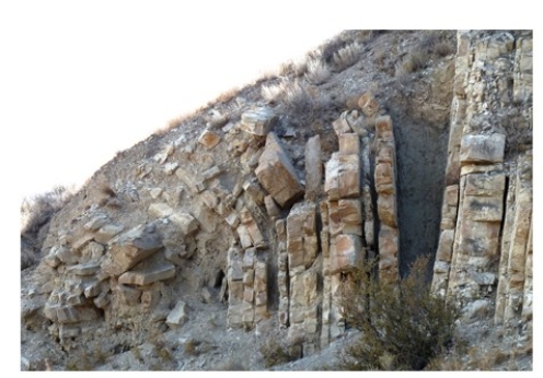 <strong>The type of slope failure shown in this photograph is </strong> A)creep. B)a rock slide. C)a debris avalanche. D)a debris flow. E)All of these are correct.