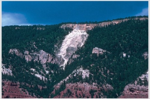 <strong>Which of the following might indicate that slopes adjacent to this landslide might fail? </strong> A)They have the same steepness as the slope that failed. B)They appear to have a similar geology setting. C)One part of the slope has already failed. D)All of these are correct.