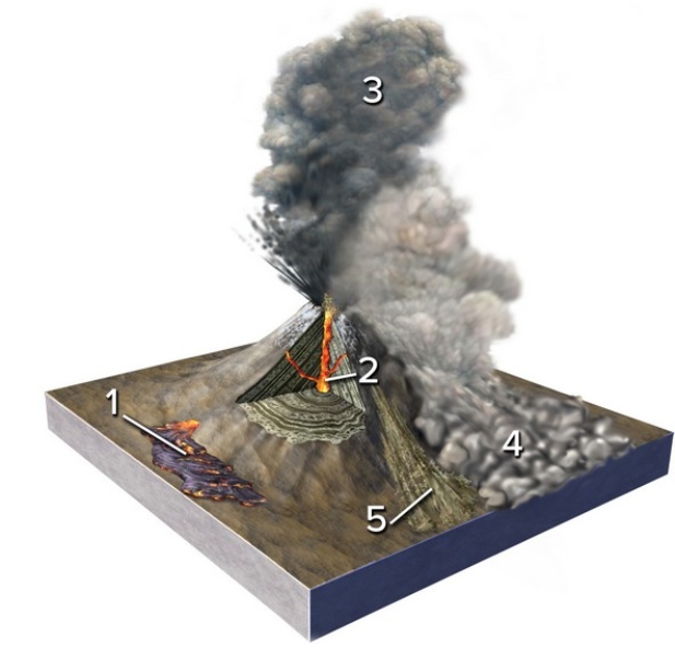 <strong>Which of the numbered features is a lava flow? </strong> A)1 B)2 C)3 D)4 E)5