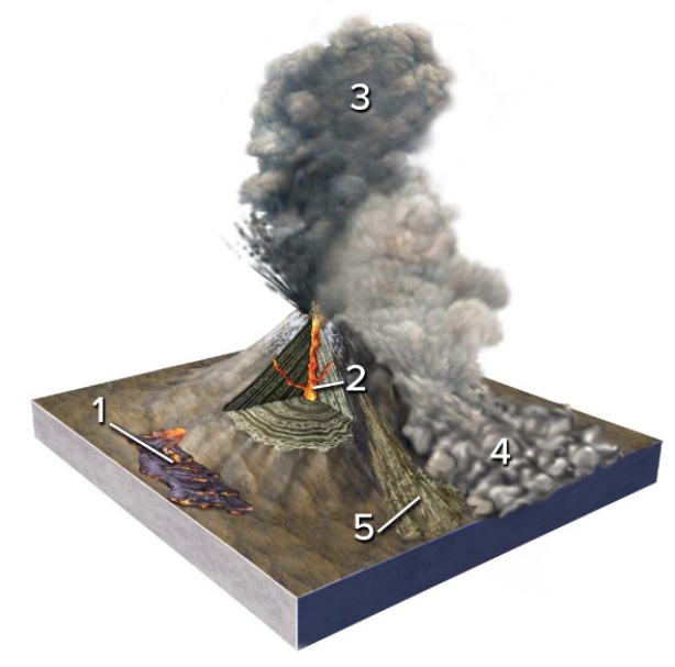 <strong>Which of the numbered features is a pyroclastic column? </strong> A)1 B)2 C)3 D)4 E)5