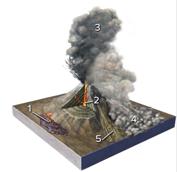 <strong>Which of the numbered features is a pyroclastic flow? </strong> A)1 B)2 C)3 D)4 E)5