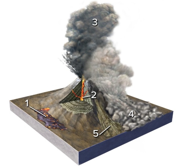 <strong>Which of the numbered features is a lahar? </strong> A)1 B)2 C)3 D)4 E)5