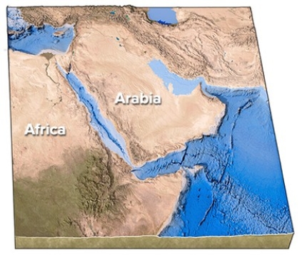 <strong>How did the Red Sea,shown between Arabia and Africa in this figure,form? </strong> A)Subduction of Arabia beneath Africa B)Subduction of Africa beneath Arabia C)A continental collision D)Continental rifting followed by seafloor spreading E)Transform faulting followed by a continental collision