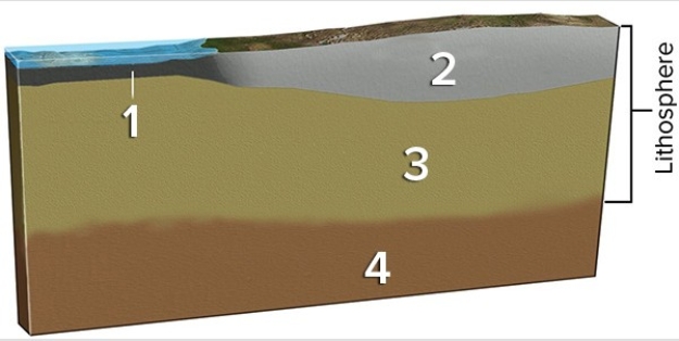 <strong>In the diagram below,which layer(s)correspond to the mantle? </strong> A)1 and 2 B)3 C)3 and 4 D)4
