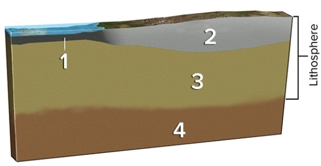 <strong>In the diagram below,which layer is able to flow rather than being brittle? </strong> A)1 because water helps lubricate it B)2 because the rocks are of a different composition than in the other layers C)1,2,and 3 because it is not under as much pressure as 4 D)4 because it is under so much more pressure than 1,2,and 3