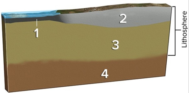 <strong>Which of the layers in the diagram below are rigid? </strong> A)1 and 2 B)2 and 3 C)1,2,and 3 D)All of them are correct.