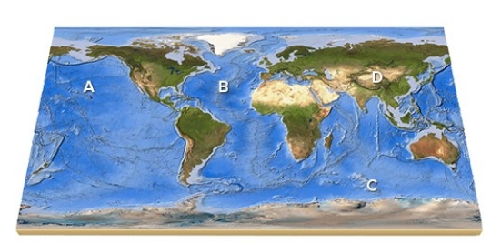 <strong>On this map,identify the letter that is over a midocean ridge. </strong> A)A B)B C)C D)D E)Feature is not labeled.