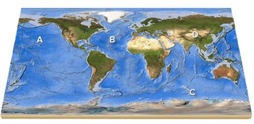 <strong>On this map,identify the letter that is over the Pacific Ocean. </strong> A)A B)B C)C D)D E)Feature is not labeled.