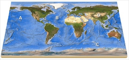 <strong>On this map,identify the letter that is over an island arc. </strong> A)A B)B C)C D)D E)Feature is not labeled.