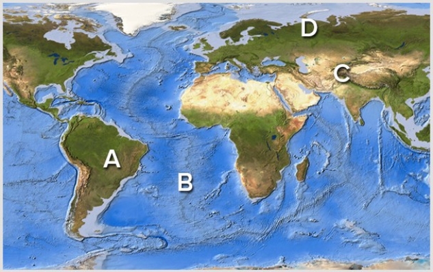 <strong>Which area(s)on this world map is likely to have volcanoes above sea level? </strong> A)A B)B C)C D)D