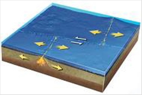 <strong>What types of plate boundaries are shown in this figure? </strong> A)Divergent B)Convergent C)Transform D)Divergent and transform E)Convergent and divergent