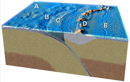 <strong>The plate boundary on this figure is located between </strong> A)A and B. B)B and C. C)C and D. D)D and E. E)There is not enough information to tell.
