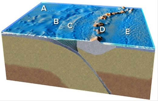 <strong>Which feature on this figure is formed by the melting of the mantle above the slab? </strong> A)A B)B C)C D)D E)E