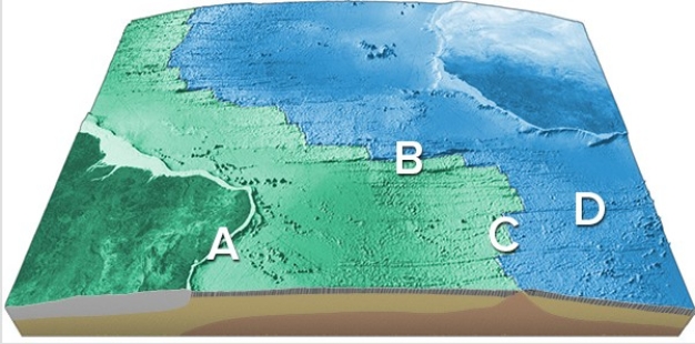 <strong>On this map of the South Atlantic,which letter is on a transform fault? </strong> A)A B)B C)C D)D