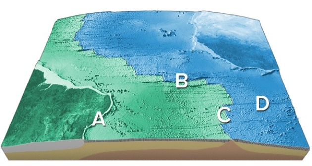 <strong>On this map of the South Atlantic,which letter is on an oceanic fracture zone? </strong> A)A B)B C)C D)D