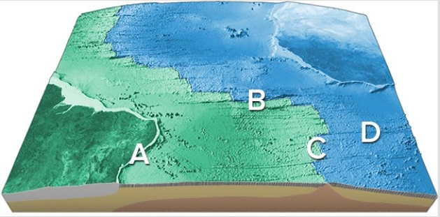 <strong>On the accompanying figure,what type of feature is located in the area of letter C? </strong> A)Transform fault B)Midocean ridge C)Linear island chain D)Fracture zone