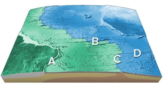 <strong>On the accompanying figure,what type of feature is located in the area of letter D? </strong> A)Transform fault B)Midocean ridge C)Linear island chain D)Fracture zone