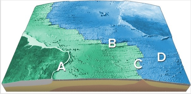 <strong>On this map of the South Atlantic,which letter is on a site of seafloor spreading? </strong> A)A B)B C)C D)D