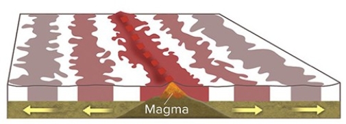 <strong>What causes magnetic stripes on the seafloor,such as those shown here? </strong> A)Volcanic rocks in oceanic crust are covered by a variable thickness of sediment. B)Some oceanic crust consists of volcanic rocks and some is composed of sediment. C)Sometimes Earth's magnetic field points north and sometimes it points south. D)Some volcanic rocks are formed in normal ways and others have pillows.