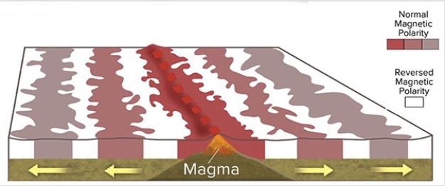 <strong>This diagram shows magnetic stripes on either side of the midocean ridge.How many times did the magnetic field change polarity to form all of the stripes shown here? </strong> A)Twice B)Three times C)Five times D)Eleven times