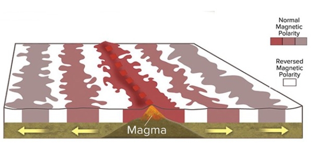 <strong>This diagram shows magnetic stripes on either side of the midocean ridge.How many different ages of stripes are represented in this diagram? </strong> A)Two B)Three C)Four D)Six E)Eleven