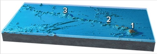 <strong>This figure shows a northwest-southeast line of islands and seamounts near Hawaii.If location 3 has the oldest rocks and Hawaii (1)has the youngest rocks,which way is the plate moving with respect to the hot spot? </strong> A)Northwest B)Southeast C)Northwest and southeast D)It is not moving in a consistent direction.
