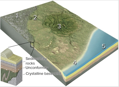 <strong>Which numbered site is likely to have exposure of crystalline rocks? </strong> A)1,the continental shield B)2,the continental platform C)3,a basin in the continent D)4,a continental shelf E)5,a deep sediment-filled basin next to the continent