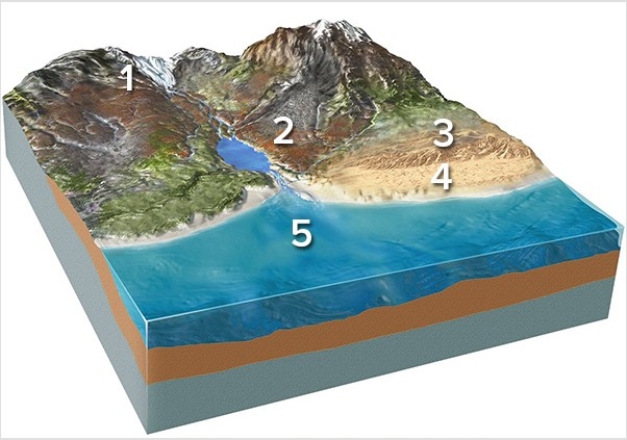 <strong>Which of the following locations would contain sand,rounded stones,and broken shells?  </strong> A)Location 1,along the margins of a glacier B)Location 2,along a steep mountain front C)Location 3,in sand dunes D)Location 4,along a beach E)Location 5,on relatively deep seafloor <div style=padding-top: 35px> 