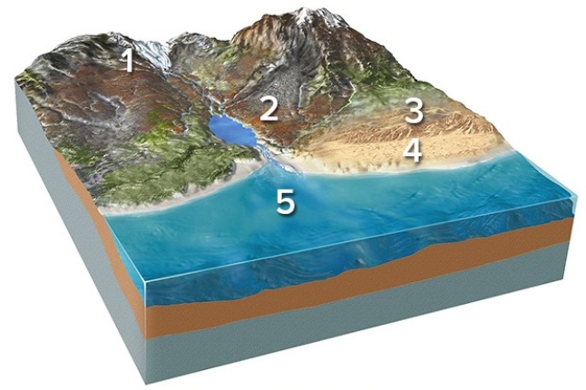 <strong>Which of the following locations would contain mud and the remains of small creatures?  </strong> A)Location 1,along the margins of a glacier B)Location 2,along a steep mountain front C)Location 3,in sand dunes D)Location 4,along a beach E)Location 5,on relatively deep seafloor <div style=padding-top: 35px> 