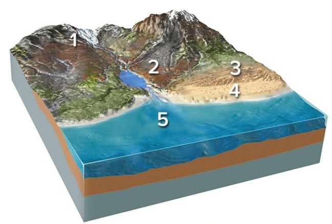 <strong>Which of the following locations would most likely contain a high percentage of sand?  </strong> A)Location 2,along a steep mountain front B)Location 3,in sand dunes C)Location 4,along a beach D)Locations 2 and 3 E)Locations 3 and 4 <div style=padding-top: 35px> 