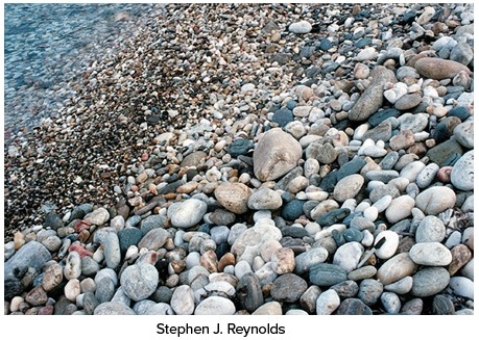<strong>Which of the following surface environments is the most likely site for deposits in this photograph?  </strong> A)Steep mountain front B)Glacier C)Sand dunes D)Beach <div style=padding-top: 35px> 