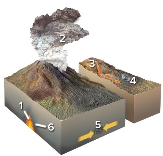 <strong>Which of the following locations would form an igneous rock?  </strong> A)Locations 1 and 2 B)Locations 2 and 3 C)Locations 3 and 4 D)Locations 1,2,and 3 E)Locations 5 and 6 <div style=padding-top: 35px> 