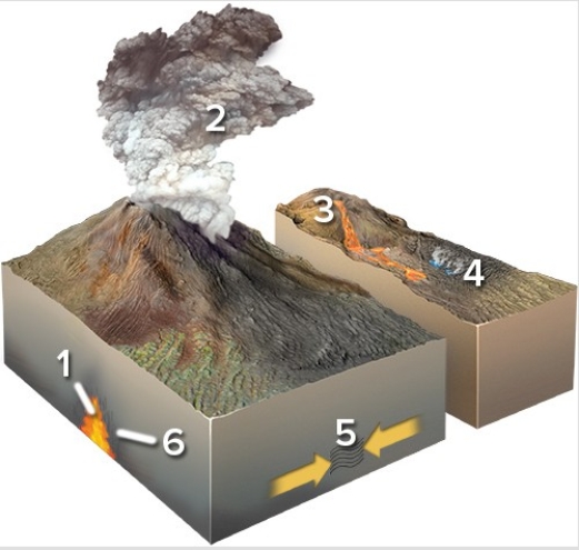 <strong>Which of the following locations would form a metamorphic rock?  </strong> A)Locations 1 and 2 B)Locations 2 and 3 C)Locations 3 and 4 D)Locations 1,2,and 3 E)Locations 5 and 6 <div style=padding-top: 35px> 