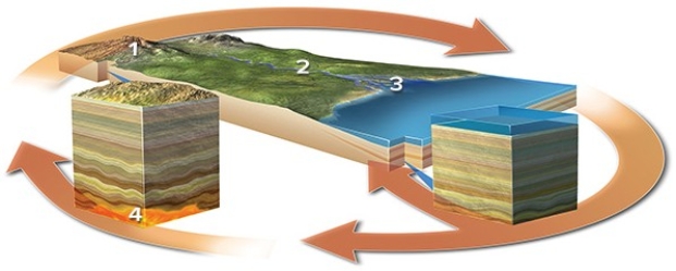 <strong>Which of the following best indicates a location where sediment is transported?  </strong> A)Location 1 B)Location 2 C)Location 3 D)Location 4 <div style=padding-top: 35px> 