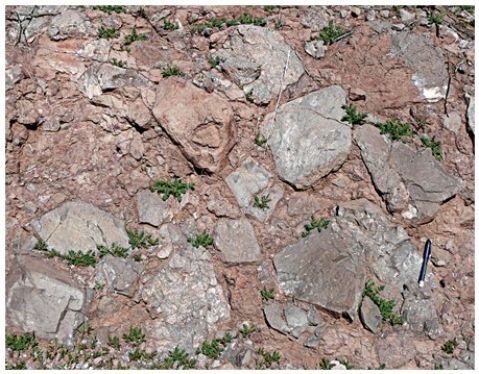 <strong>The type of rock shown in this photograph is  </strong> A)conglomerate. B)breccia. C)sandstone. D)shale. <div style=padding-top: 35px> 