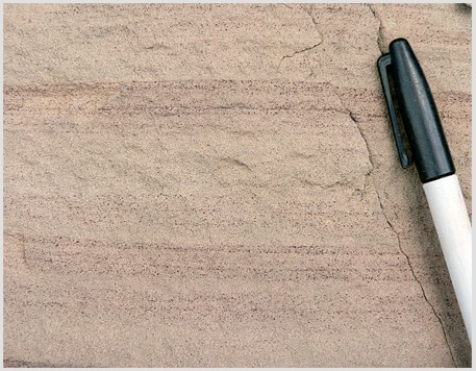 <strong>The type of rock shown in this photograph is  </strong> A)conglomerate. B)breccia. C)sandstone. D)shale. <div style=padding-top: 35px> 