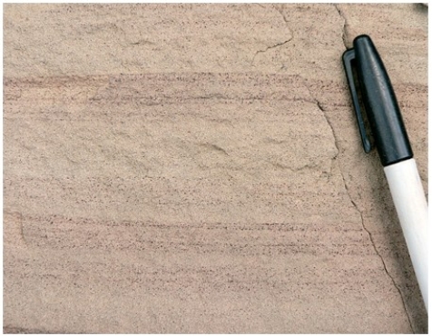<strong>The rock shown here,with sediment just visible to the naked eye,is a  </strong> A)sandstone. B)shale. C)conglomerate. <div style=padding-top: 35px> 